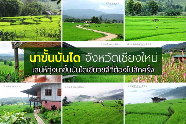 นาขั้นบันได เชียงใหม่