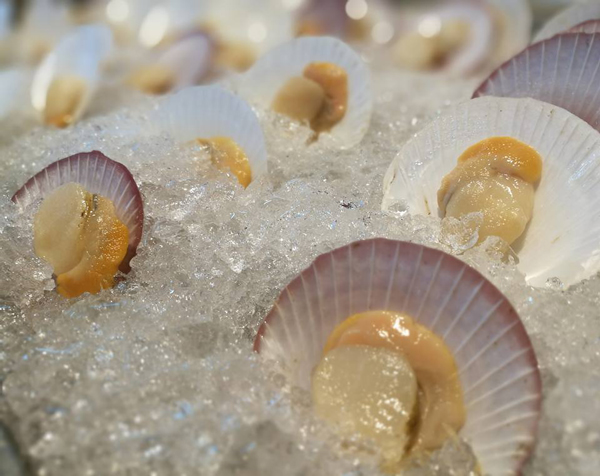 ร้านบุฟเฟ่ต์อาหารทะเล