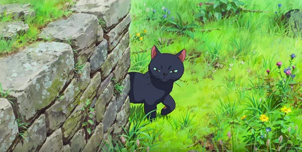 Mary And The Witch s Flower