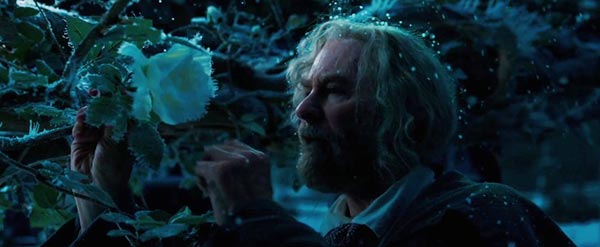 Beauty and the Beast