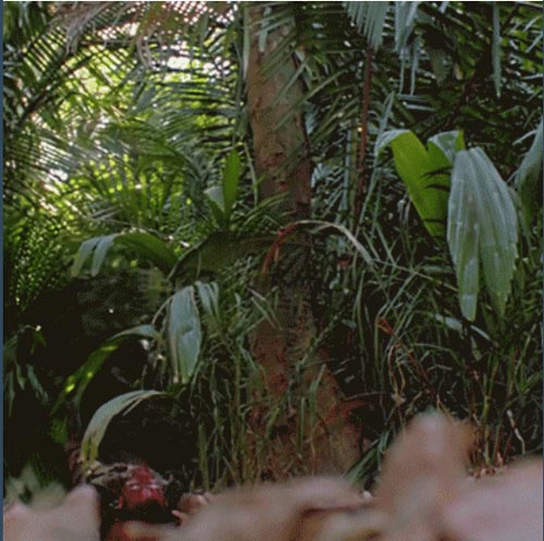 สิ่งของไฮเทค