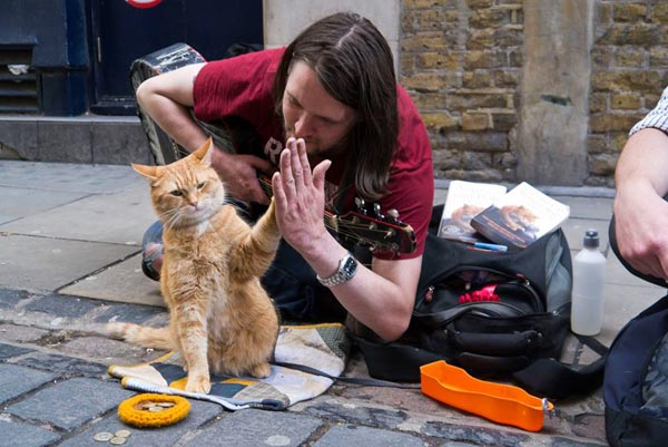 A Street Cat Named Bob