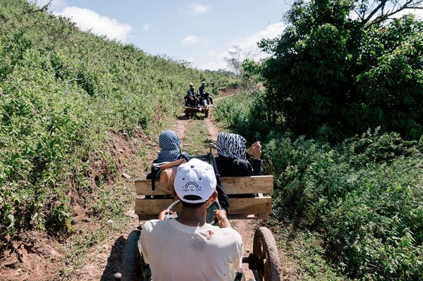 ภูบักได เลย