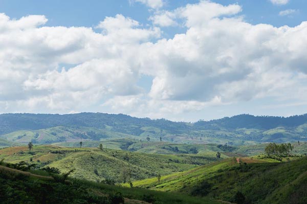 ภูบักได เลย