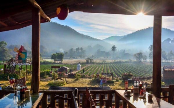 ไร่สตรอว์เบอร์รี เชียงใหม่