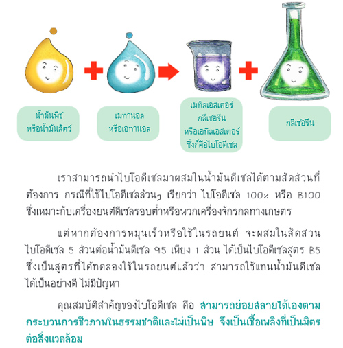 เติมน้ำมันพืชให้รถระบะ
