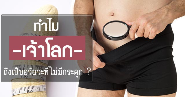 อวัยวะเพศชาย