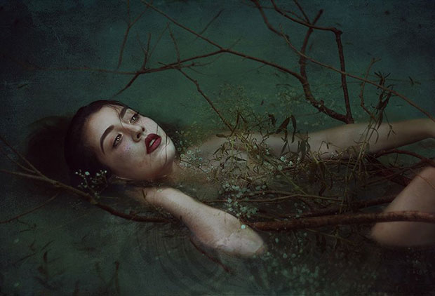 ภาพถ่ายยอดเยี่ยม 2016