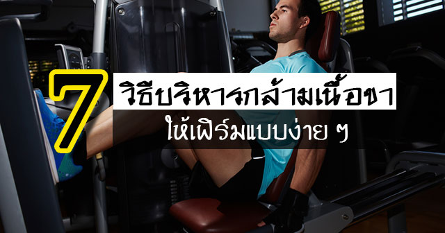 วิธีสร้างกล้ามขา