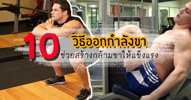สร้างกล้ามเนื้อขา