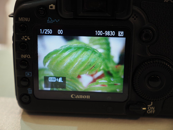 เลนส์ Macro