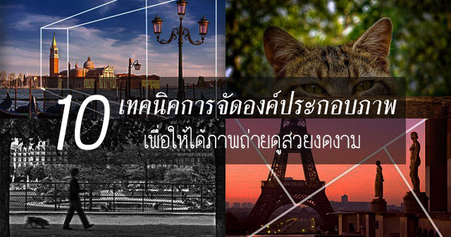 เทคนิคการจัดองค์ประกอบภาพ