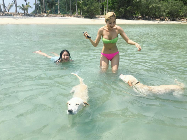 เนย เนโกะจัมพ์