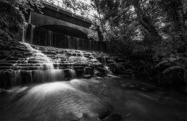 เลนส์ Venus