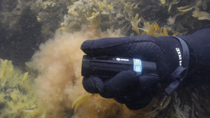 แอ็คชั่นแคม