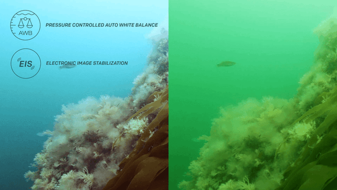 แอ็คชั่นแคม