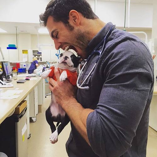 หมอหล่อ