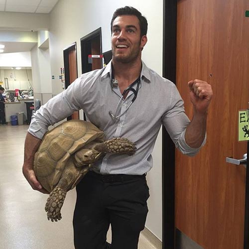 หมอหล่อ