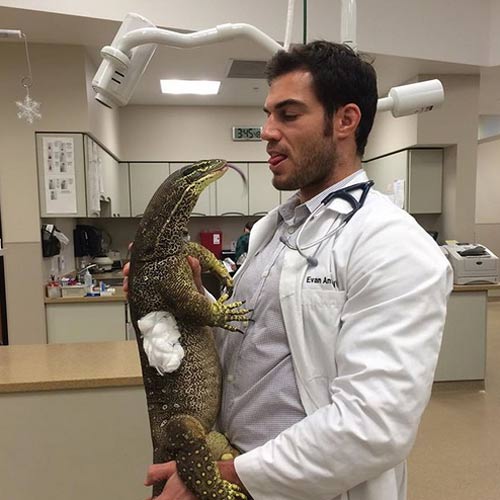 หมอหล่อ