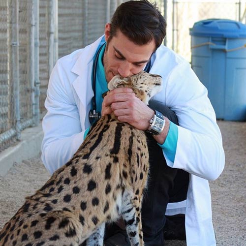 หมอหล่อ