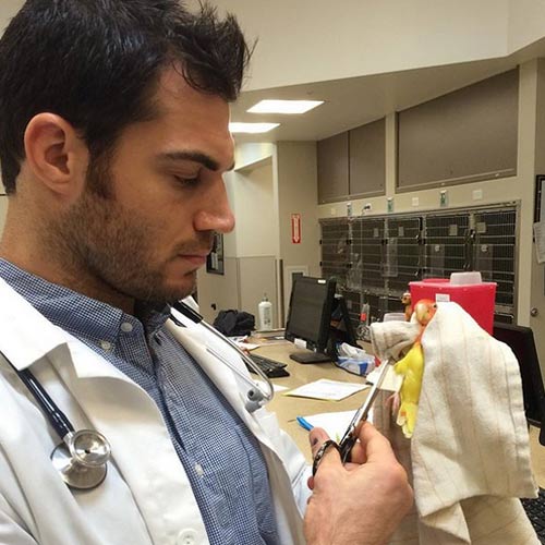 หมอหล่อ