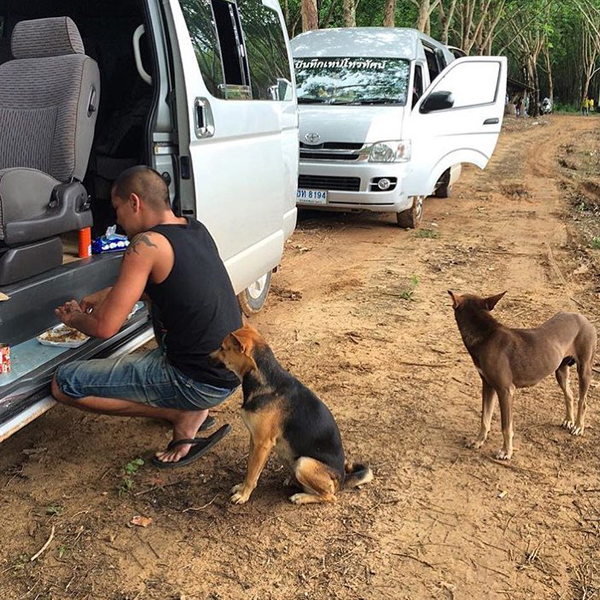 แบงค์ แคลช