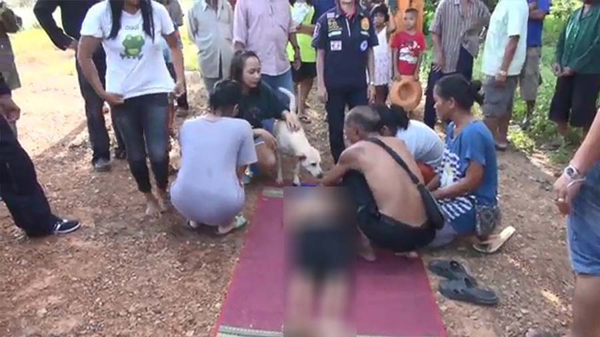 หมาแสนรู้วิ่งตามคน หวังเข้าช่วยเจ้าของที่หน้ามืดจมน้ำ