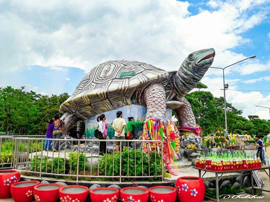 พญาเต่างอย