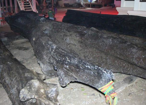 หวยตะเคียนยักษ์ ปราจีนบุรี
