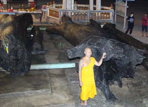 หวยตะเคียนยักษ์ ปราจีนบุรี