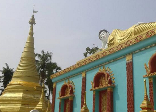 ดอกไม้สีชมพูขึ้นบนองค์พระธาตุเจดีย์พญานาค