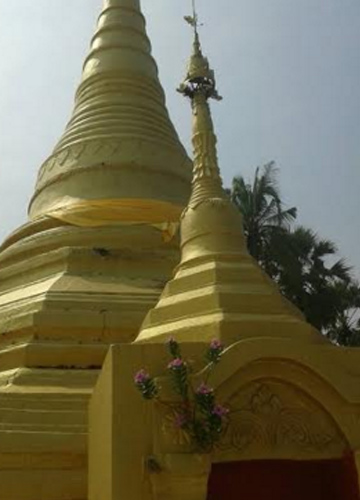 ดอกไม้สีชมพูขึ้นบนองค์พระธาตุเจดีย์พญานาค