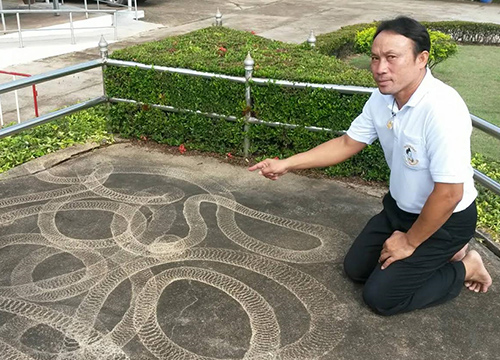 พบรอยพญานาค โผล่ใกล้วันเข้าพรรษา แห่ไหว้ขอเลขเด็ด