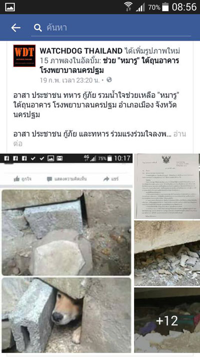 ภาพแชร์ว่อน รพ.นครปฐม ก่ออิฐขังหมา แต่ความจริงกลับเป็นคนละเรื่อง