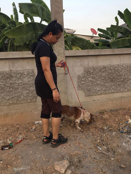 คนรักสัตว์แห่ช่วย เจ้าปาร์แมน สุนัขถูกขังในกรงโบกปูนนานกว่า 5 ปี