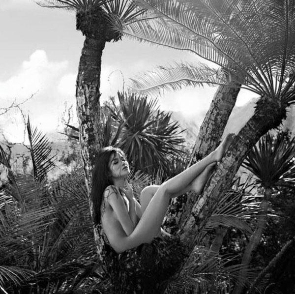 กวาง The Face 2 