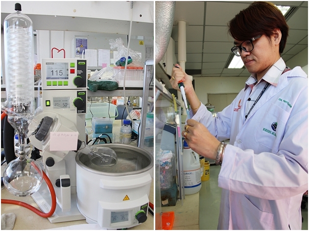 ค้นพบแพลตฟอร์มรา เพื่อผลิตยาชีวภาพต้านมะเร็ง