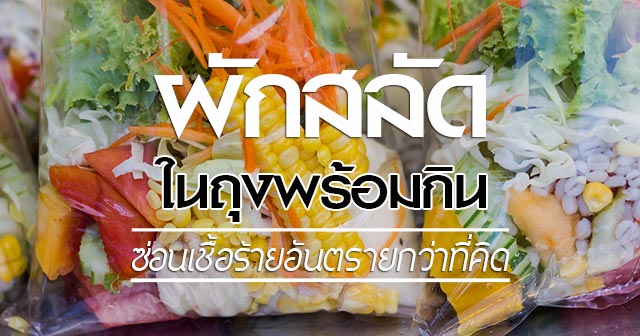 ผักสลัด
