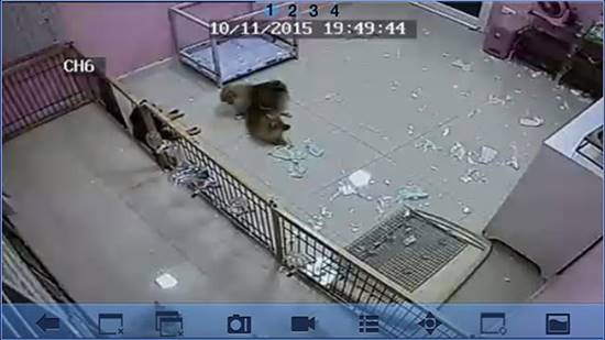 บร๊ะเจ้าโจ๊ก