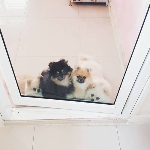 บร๊ะเจ้าโจ๊ก