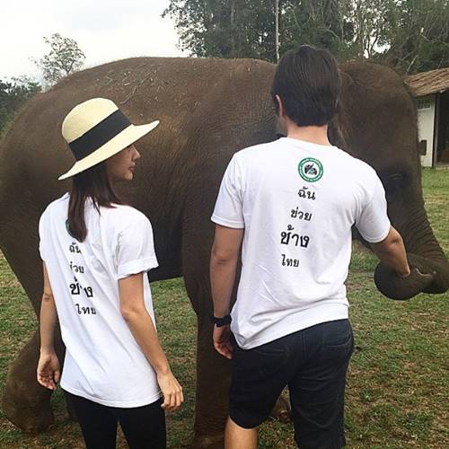 อเล็กซ์ เรนเดลล์ เต้ย จรินทร์พร