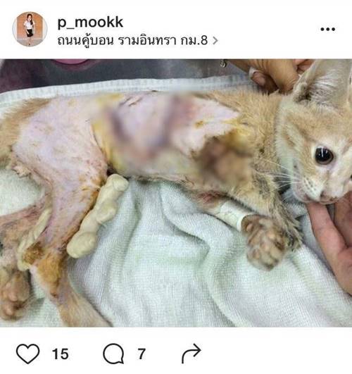 อั้ม พัชราภา