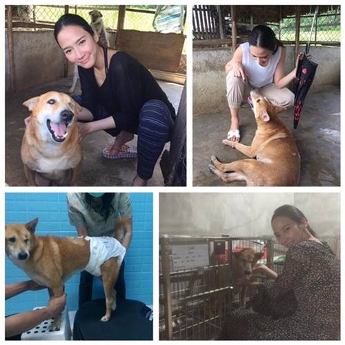 อั้ม พัชราภา