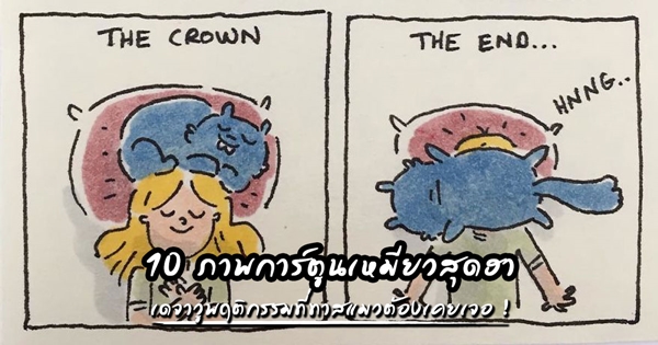 การ์ตูนแมว