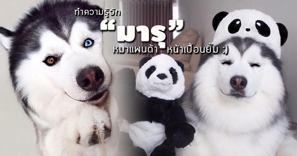 maruhusky