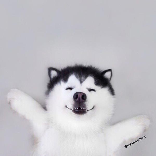 maruhusky
