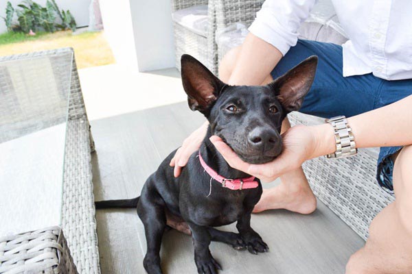 แบบบ้านสองชั้น