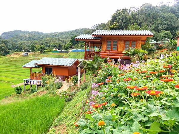 ที่พักบ้านแม่กลางหลวง