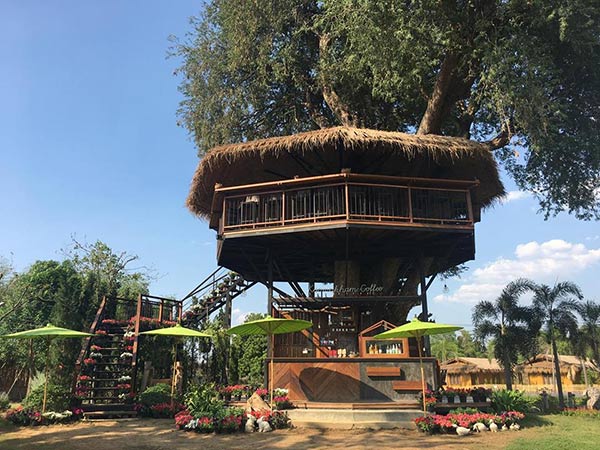 เที่ยวเชียงใหม่หน้าร้อน