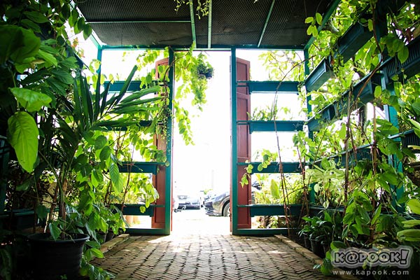 ชมเฌย ย้อนอดีตกับเมืองเก่า